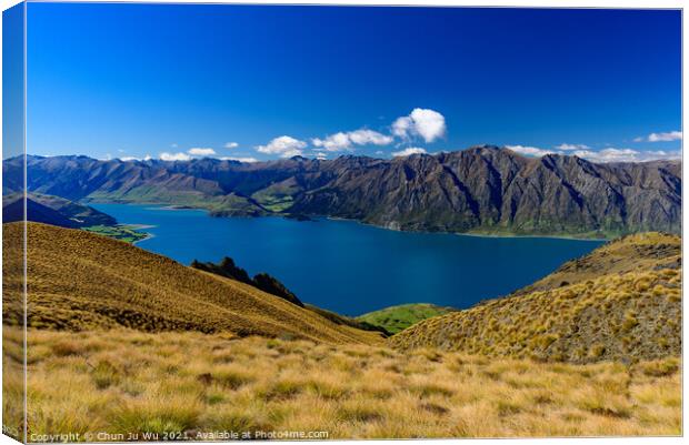 Lake Wanak in South Island, New Zealand Canvas Print by Chun Ju Wu