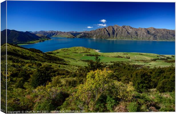 Lake Wanak in South Island, New Zealand Canvas Print by Chun Ju Wu