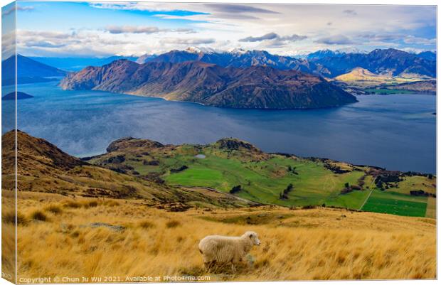 View of Lake Wanaka with a sheep on hill, South Island, New Zealand Canvas Print by Chun Ju Wu