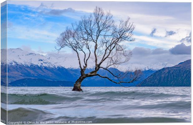 Wanaka tree and Lake Wanaka in winter, New Zealand Canvas Print by Chun Ju Wu
