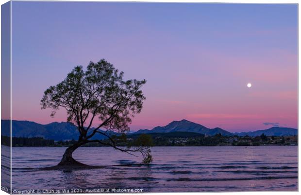 Sunset view of Wanaka tree and Lake Wanaka, New Zealand Canvas Print by Chun Ju Wu
