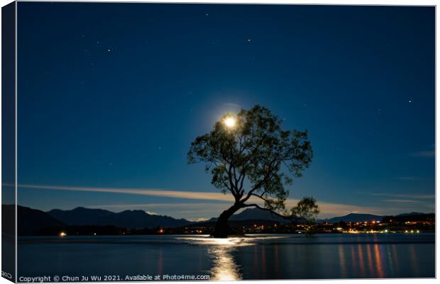 Night view of Wanaka tree and Lake Wanaka in moonlight, New Zealand Canvas Print by Chun Ju Wu