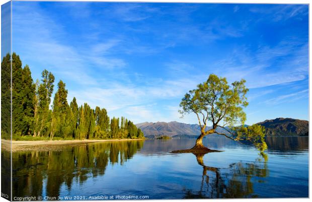 Wanaka tree and reflection on Lake Wanaka in South Island, New Zealand Canvas Print by Chun Ju Wu