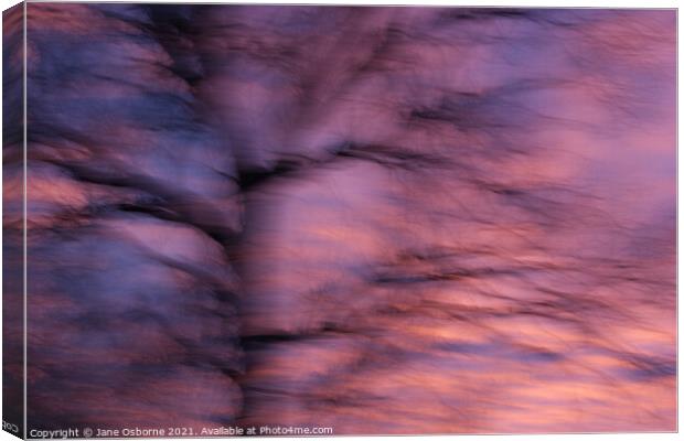 Abstract Sunset and Tree Canvas Print by Jane Osborne