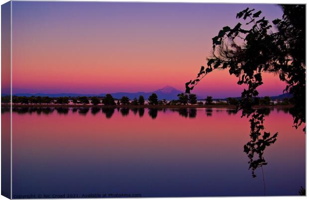 Vivid Sunset with Silhouetted trees and reflection Canvas Print by Nic Croad