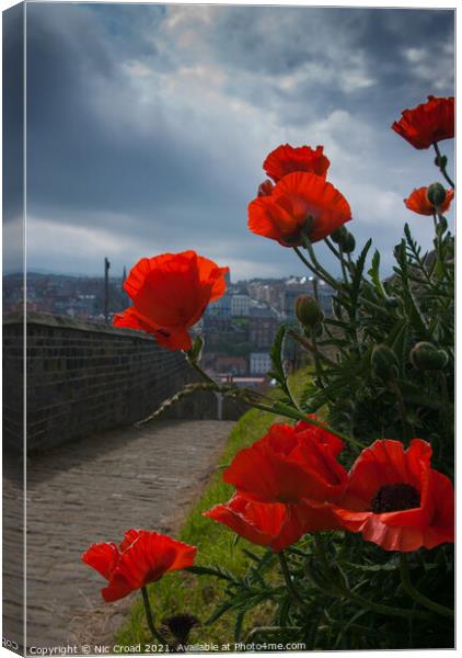 Poppies in Whitby Canvas Print by Nic Croad