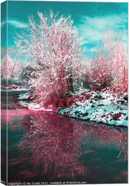 Snow covered tree reflected in water Canvas Print by Nic Croad
