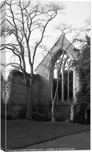 Walsingham Abbey Ruins Canvas Print by David Swayne