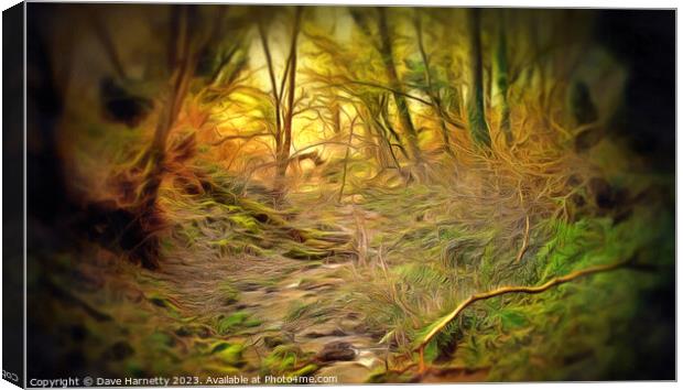 Northern Lands-A Walk in the Forest. Canvas Print by Dave Harnetty