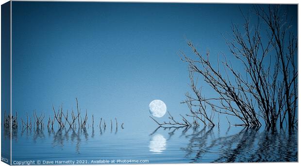 A Blue Moon on the Water Canvas Print by Dave Harnetty