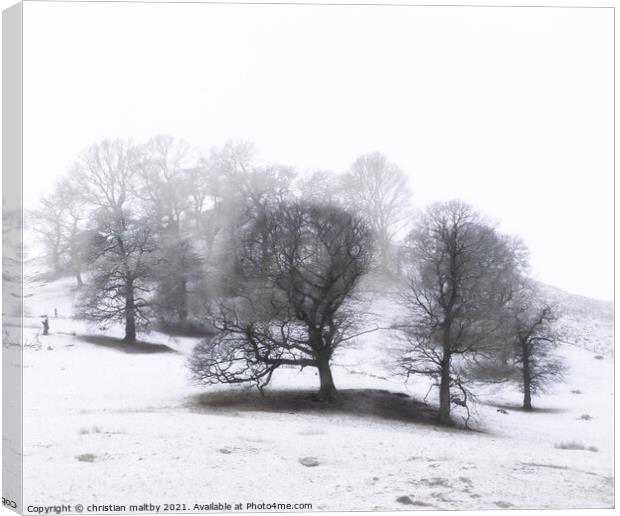 Snowfall on trees Canvas Print by christian maltby