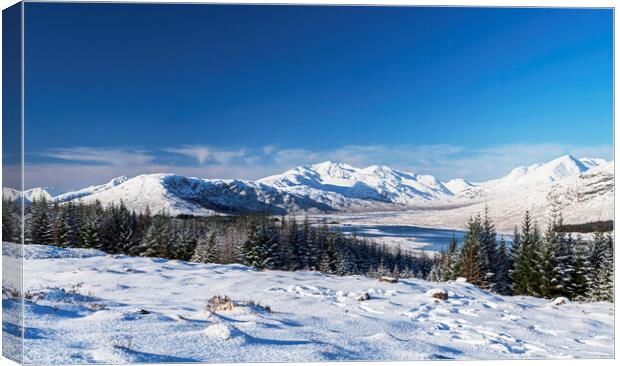 Snowy Highlands Canvas Print by Frank Farrell