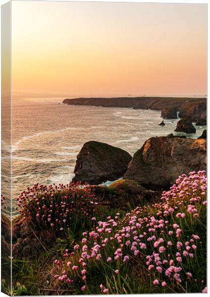 Bedruthan Steps sunset, Cornwall  Canvas Print by Frank Farrell