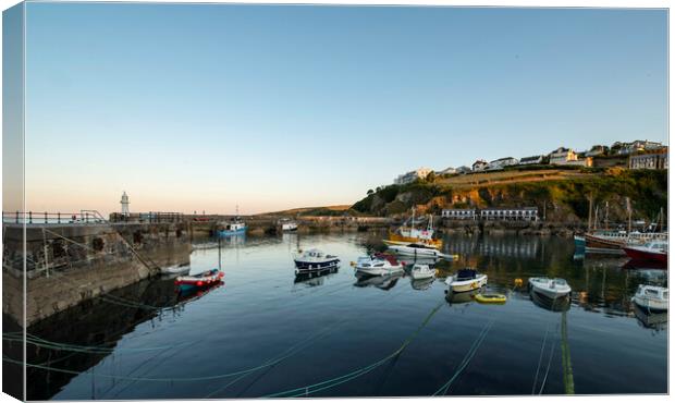 Mevagissey outer harbour, Cornwall  Canvas Print by Frank Farrell