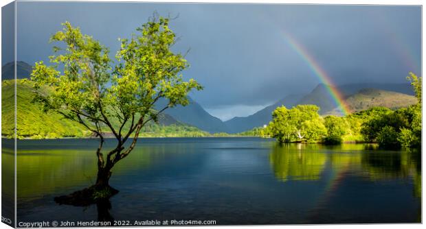 Llyn padarn lone tree . Canvas Print by John Henderson