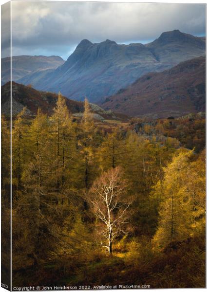 Autumn in Langdale Canvas Print by John Henderson