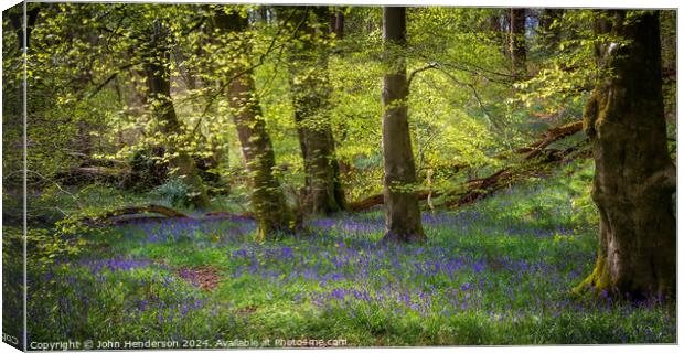 Dreamy Bluebell wood panorama. Canvas Print by John Henderson