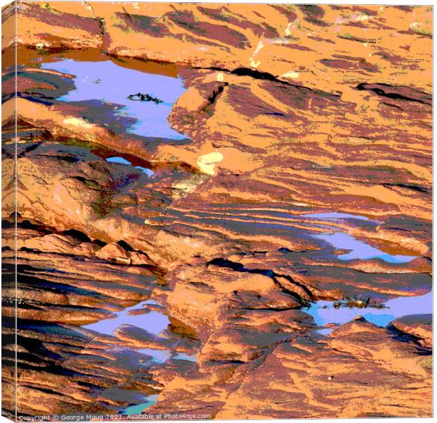 Marine I - Red Sandstone and Seawater Pools Canvas Print by George Moug