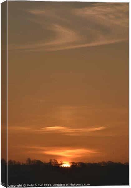 Wispy sunrise clouds Canvas Print by Molly Butler