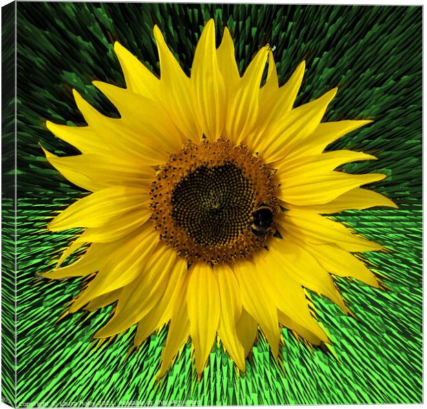 Sunflower Abstract Canvas Print by Laura Haley
