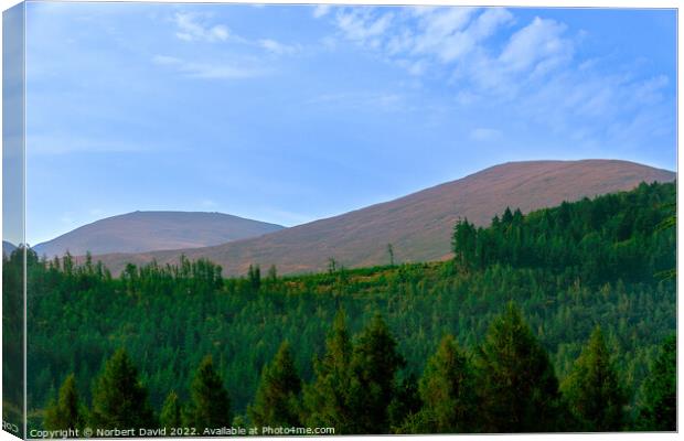 Enthralling Peaks: Tollymore Forest Vista Canvas Print by Norbert David