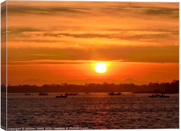 Sunrise over Langstone Harbour Canvas Print by Norbert David