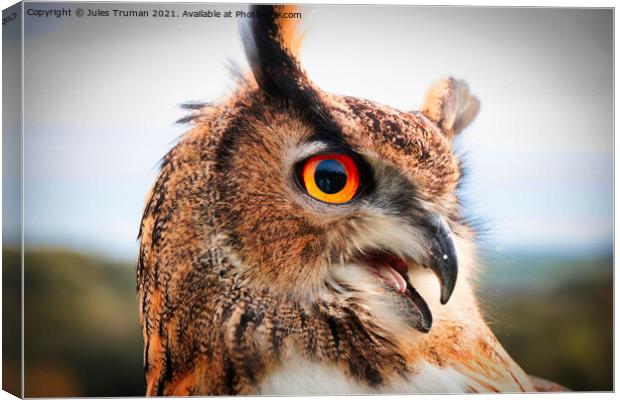 European Eagle Owl #3 Canvas Print by Jules D Truman