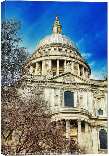 St. Paul's Cathedral in springtime Canvas Print by Jules D Truman