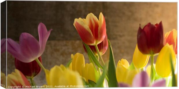 Plant flower Canvas Print by Michael bryant Tiptopimage