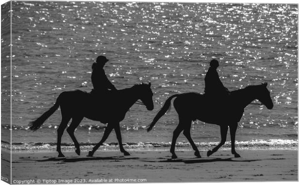 Horses on the beach Canvas Print by Michael bryant Tiptopimage
