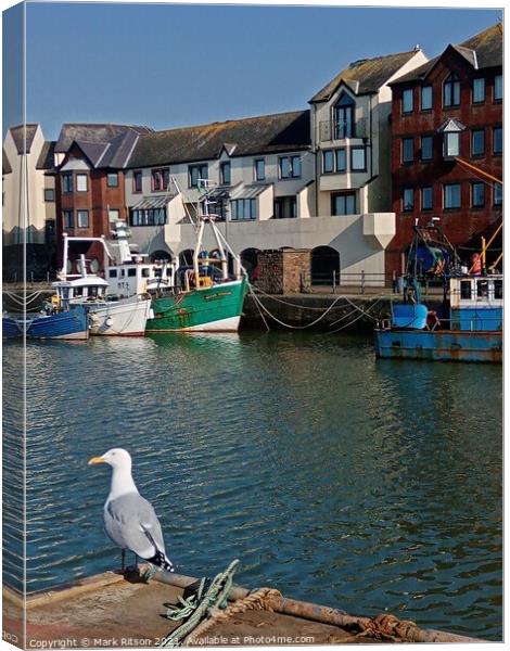 The Seagull  Canvas Print by Mark Ritson