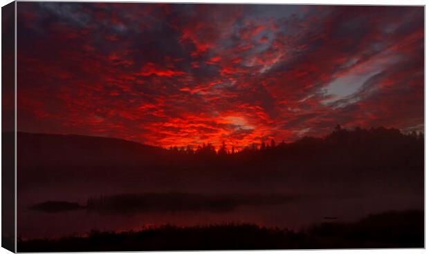 Sunrise on Costello Creek - Algonquin Park, Canada Canvas Print by Jim Cumming