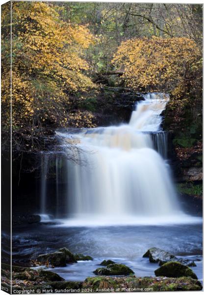 West Burton Waterfall in Autumn Wensleydale North Yorkshire Engl Canvas Print by Mark Sunderland