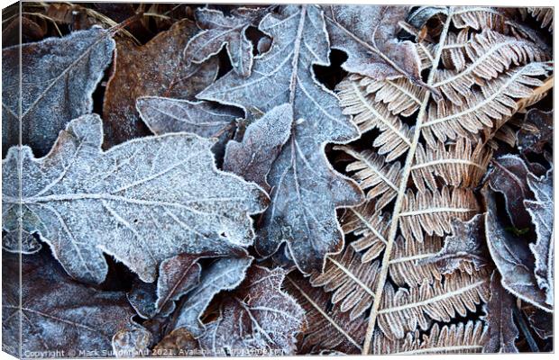 Frosty Leaves in Old Spring Wood near Summerbridge Canvas Print by Mark Sunderland
