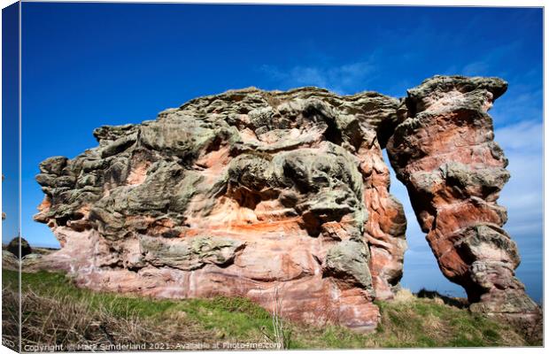 Buddo Rock on the Fife Coastal Path Canvas Print by Mark Sunderland