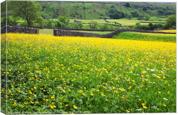 Buttercup Meadows and Dry Stone Walls at Muker Canvas Print by Mark Sunderland