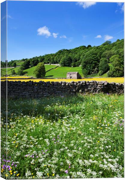 Wildflowers by the Swale at Gunnerside Canvas Print by Mark Sunderland
