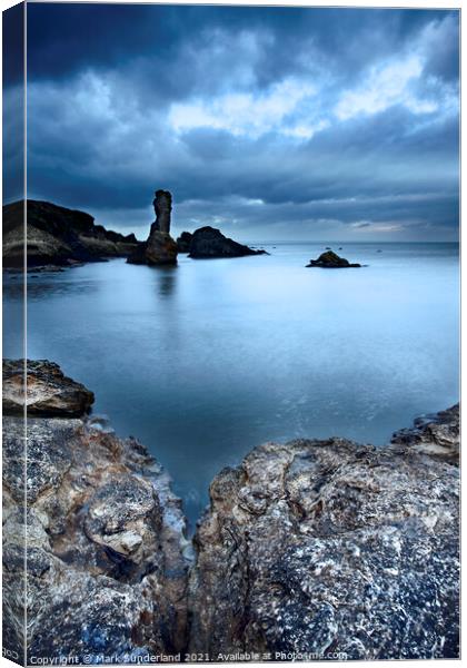 Rock and Spindle on the Fife Coast Canvas Print by Mark Sunderland