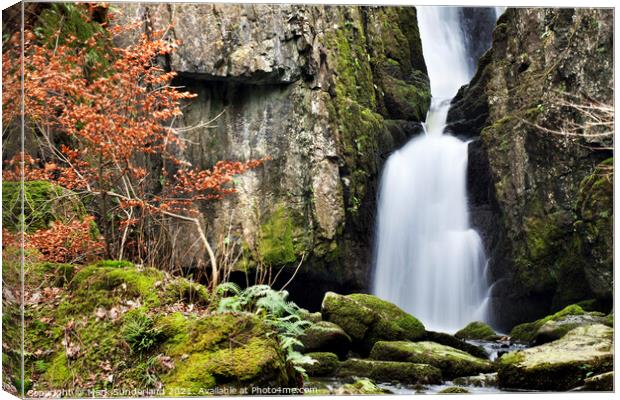 Catrigg Force near Stainforth Canvas Print by Mark Sunderland