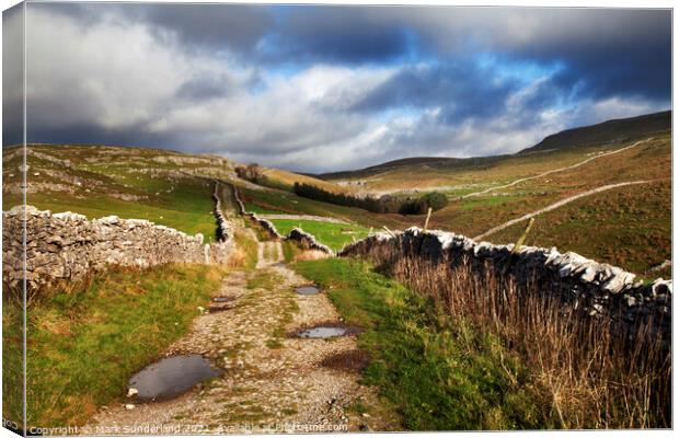 Horton Scar Lane near Horton in Ribblesdale Canvas Print by Mark Sunderland