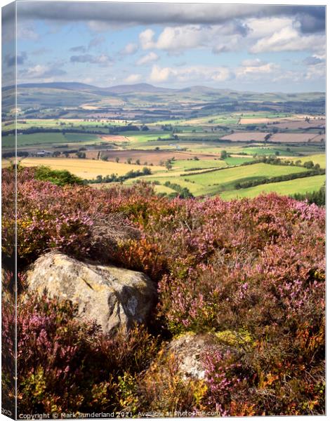Heather Moorland in the Simonside Hills with Coquetdale and The Cheviots Canvas Print by Mark Sunderland