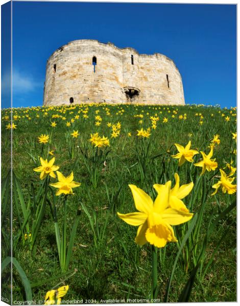 Cliffords Tower in Spring Canvas Print by Mark Sunderland