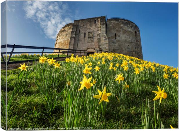 Cliffords Tower in Spring Canvas Print by Mark Sunderland