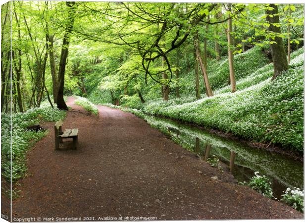 Skipton Woods in Spring Canvas Print by Mark Sunderland