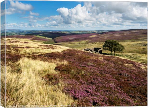 Top Withins on Haworth Moor Canvas Print by Mark Sunderland