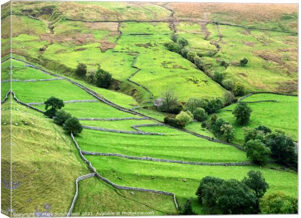 Malhamdale from above Gordale Scar Canvas Print by Mark Sunderland
