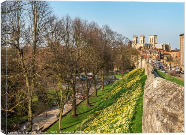 York City Wall and Minster in Spring Canvas Print by Mark Sunderland