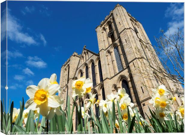 Ripon Cathedral in Spring Canvas Print by Mark Sunderland