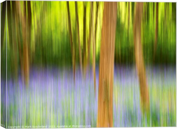 Abstract Bluebell Woodland Canvas Print by Mark Sunderland