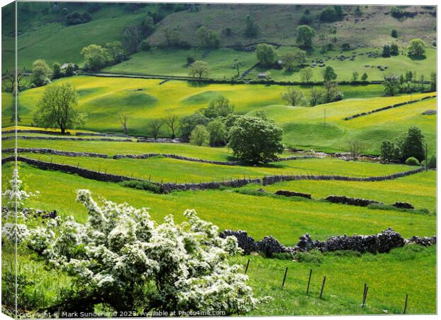 Buttercup Meadows in Langstrothdale Canvas Print by Mark Sunderland